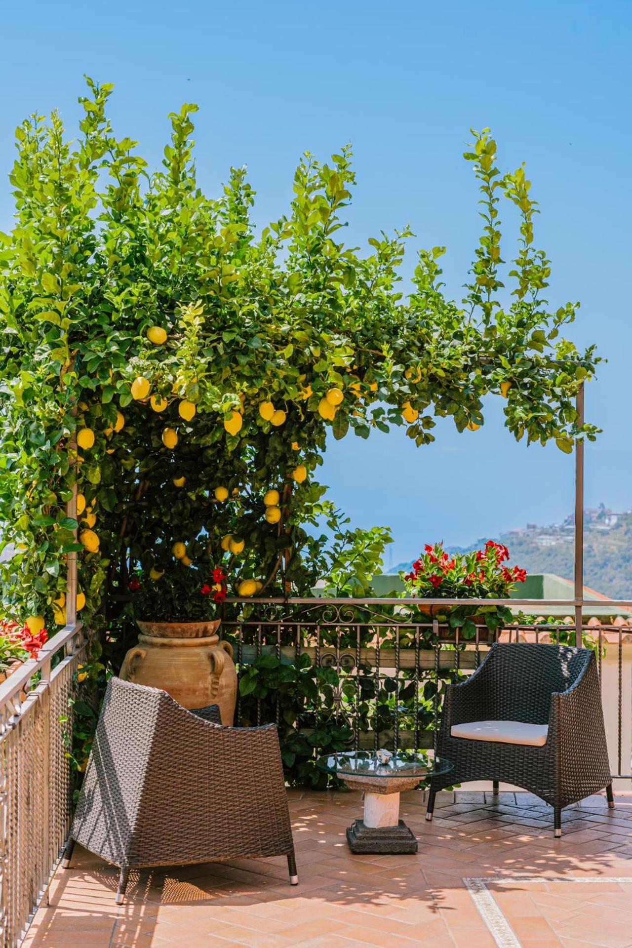 B&B Il Cortile Ravello Exteriör bild